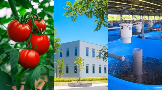 複合避難施設事業